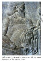 اسب مادی متوسط رسوبی - تصویر 9